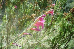 30-aktivwoche20110012