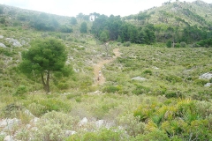 57-aktivwoche20110039