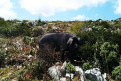 64-aktivwoche20110046