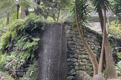 IMG_3589