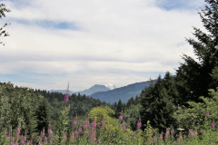 Aussicht