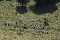 Trailrun3