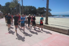 293-mallorca32013041