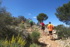297-mallorca32013055