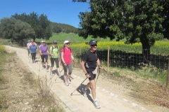 303-mallorca32013092