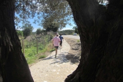 305-mallorca32013098