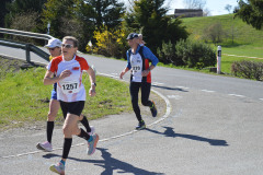 54403153899_8a1b87c817_o