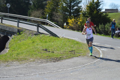 54403221033_3563b3663d_o